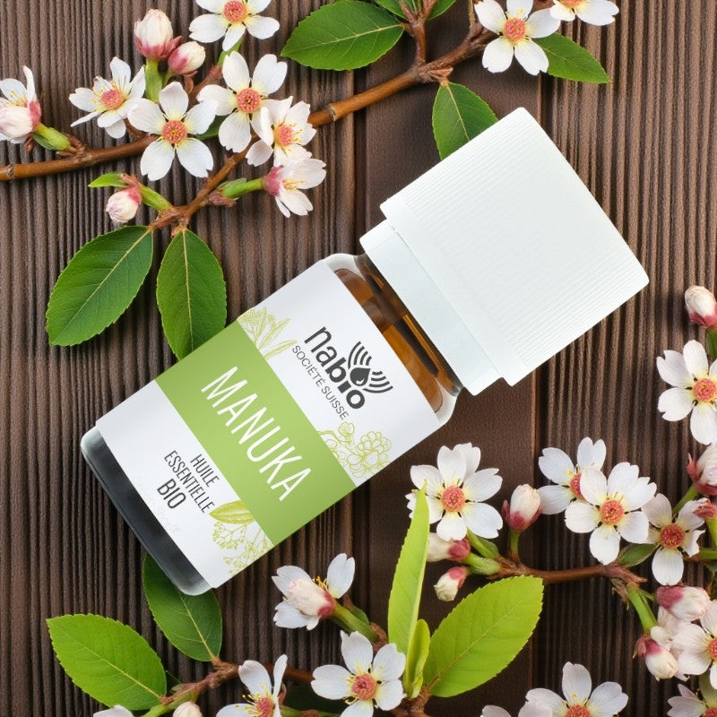 Ätherisches Bio-Manukaöl – 2 ml – Nabio
