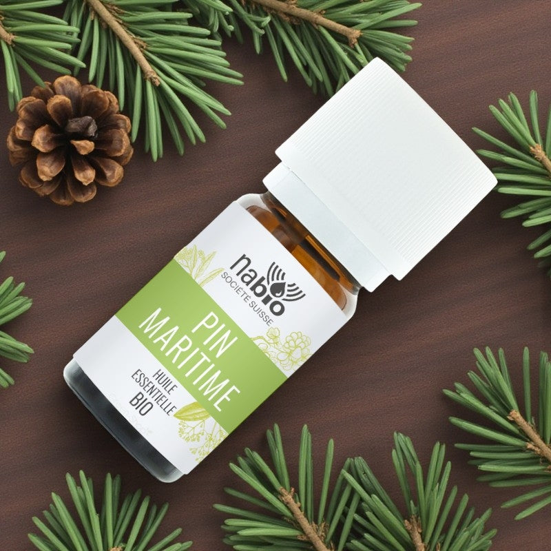 Ätherisches Bio-Kiefernöl (10 ml) – Nabio
