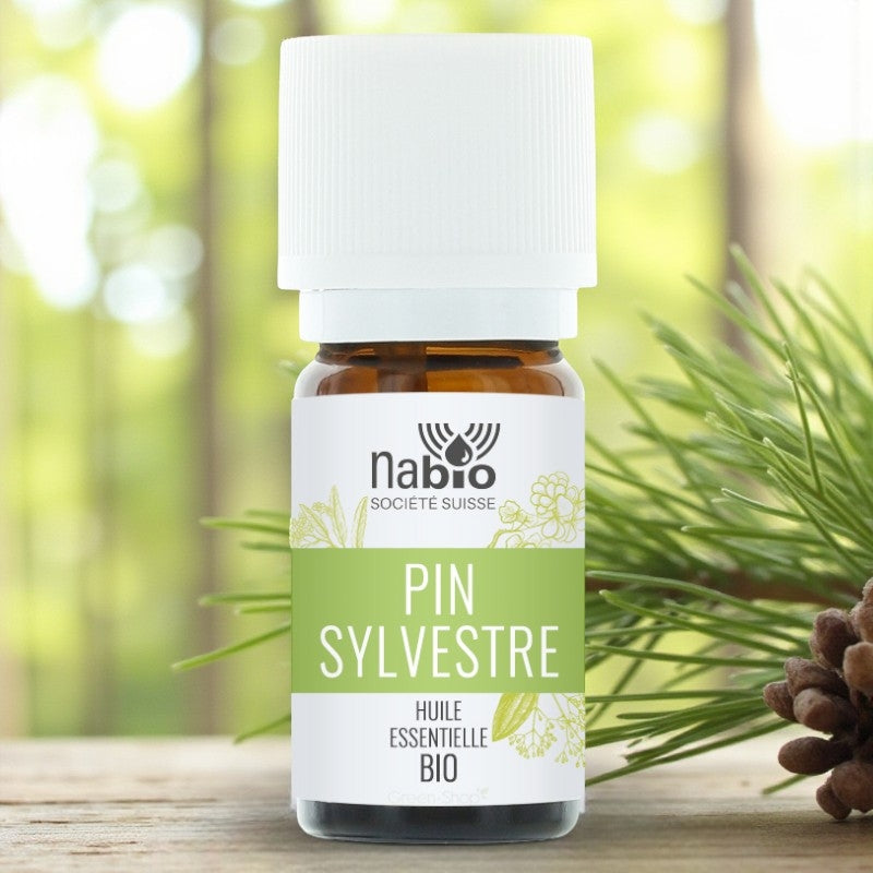Ätherisches Bio-Kiefernöl (10 ml) – Nabio