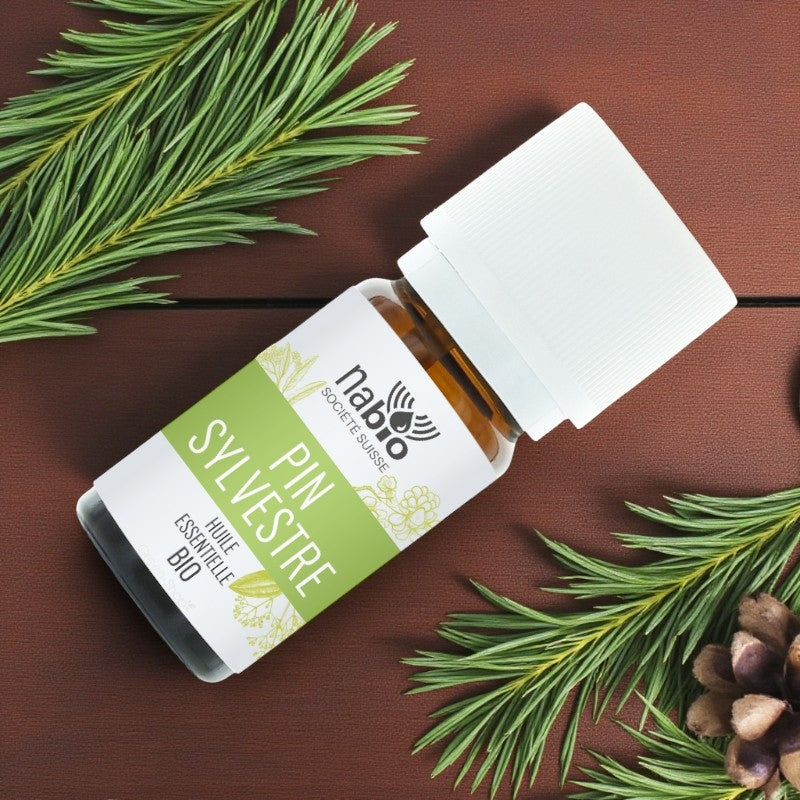 Ätherisches Bio-Kiefernöl (10 ml) – Nabio
