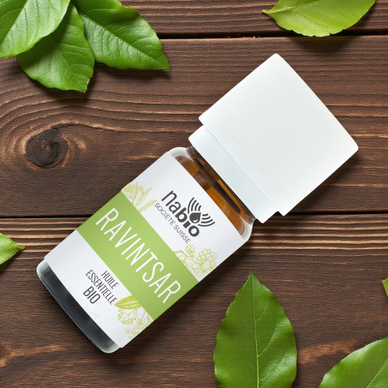 Ätherisches Bio-Ravintsara-Öl – 10 ml – Nabio