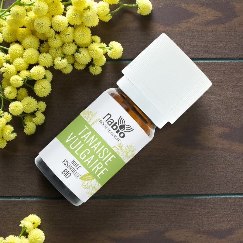 Ätherisches Bio-Rainsöl – 10 ml – Nabio