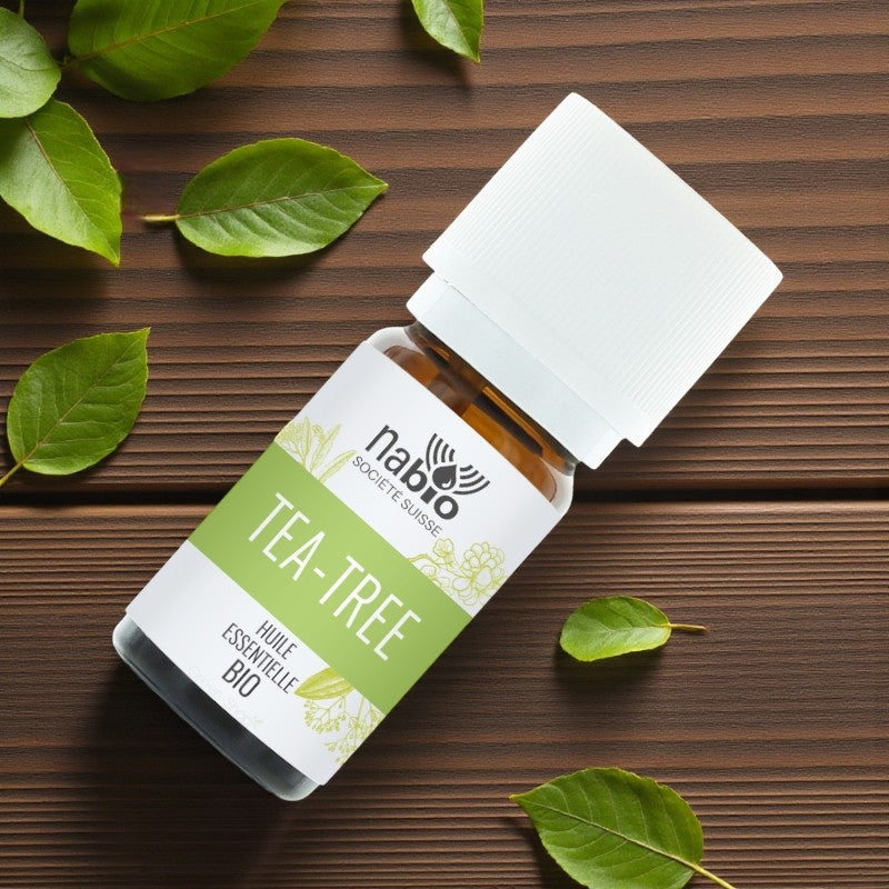 Ätherisches Bio-Teebaumöl – 10 ml – Nabio