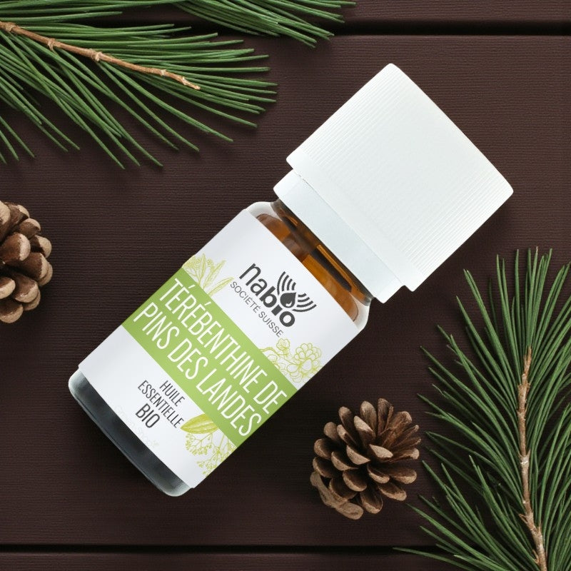 Huile essentielle bio terebenthine de pins des landes 15 ml nabio 3