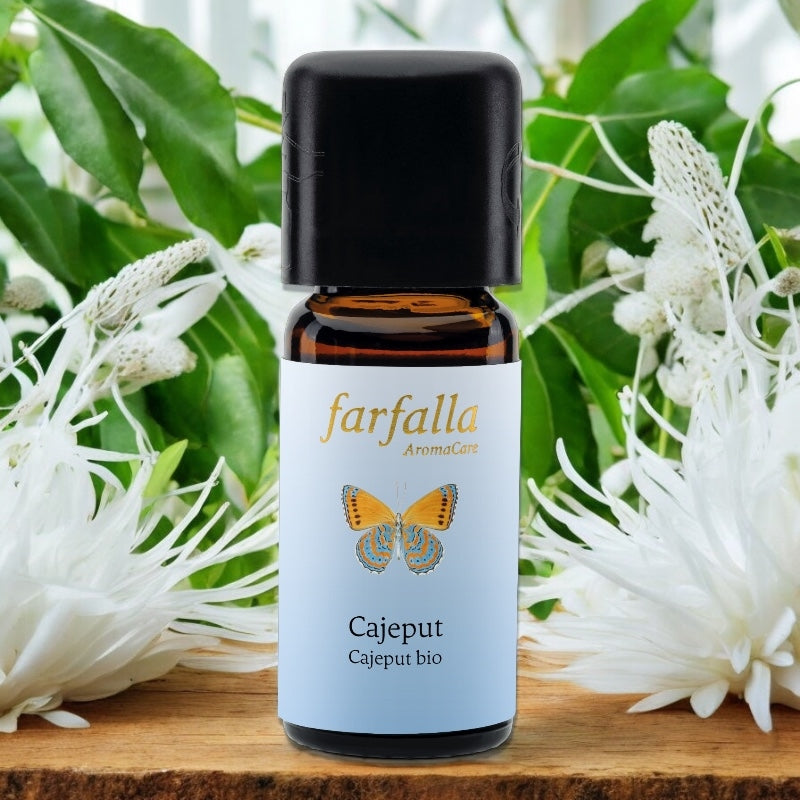 Ätherisches Bio-Cajeputöl – 10 ml – Farfalla