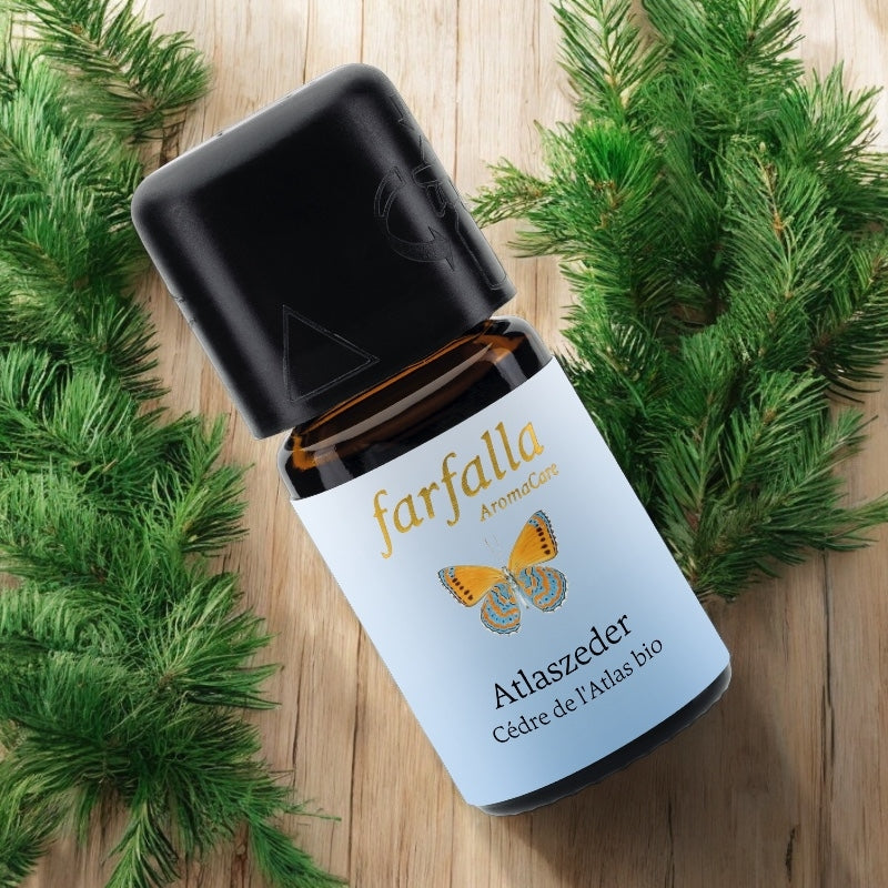 Ätherisches Bio-Atlaszederöl – 5 ml – Farfalla