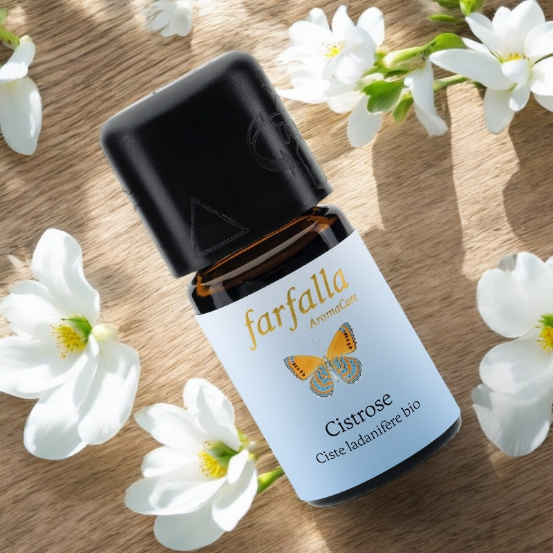 Huile essentielle Ciste ladanifère BIO - 5ml - Farfalla