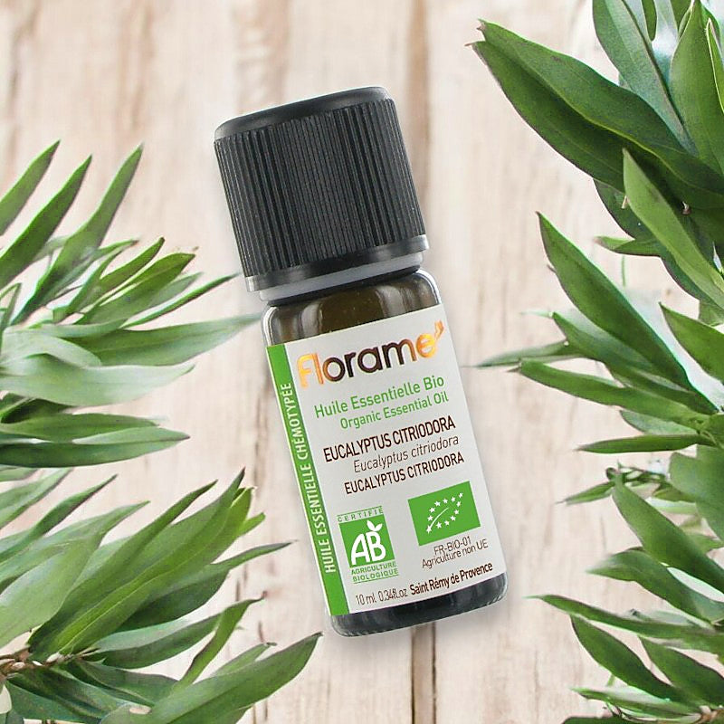 Ätherisches Bio-Eukalyptusöl (Eucalyptus citriodora) – 10 ml – Florame