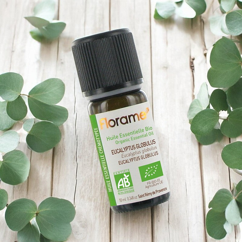 Huile essentielle d'Eucalyptus globulus BIO - 10ml - Florame