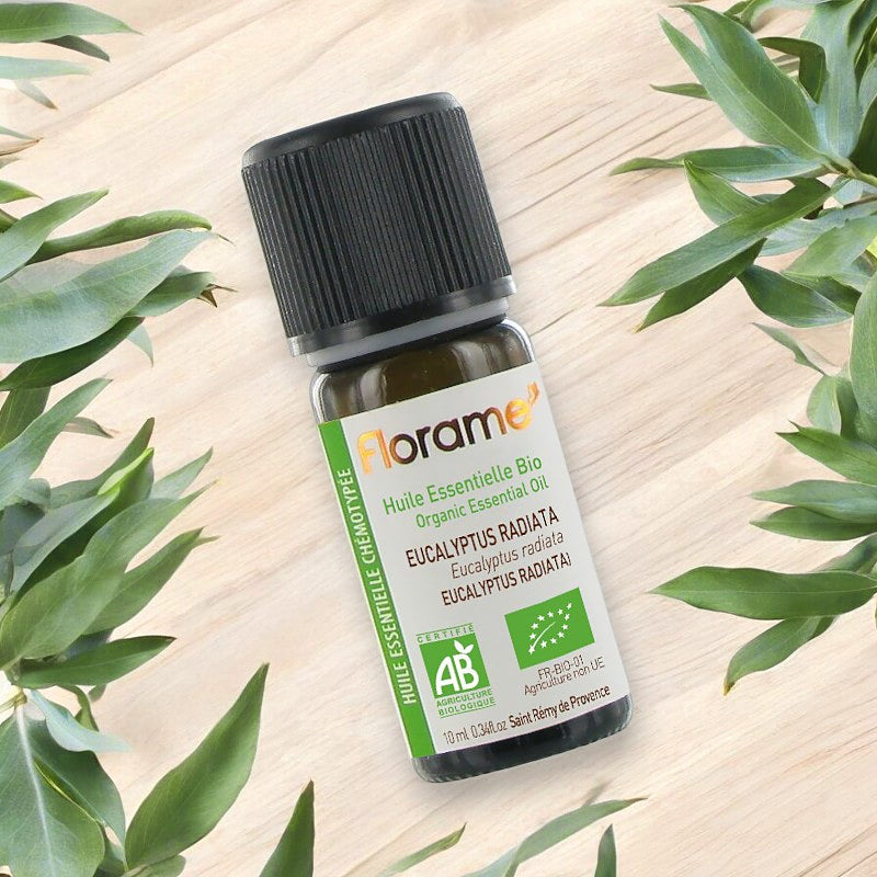 Huile essentielle d'Eucalyptus radiata BIO - 10ml - Florame