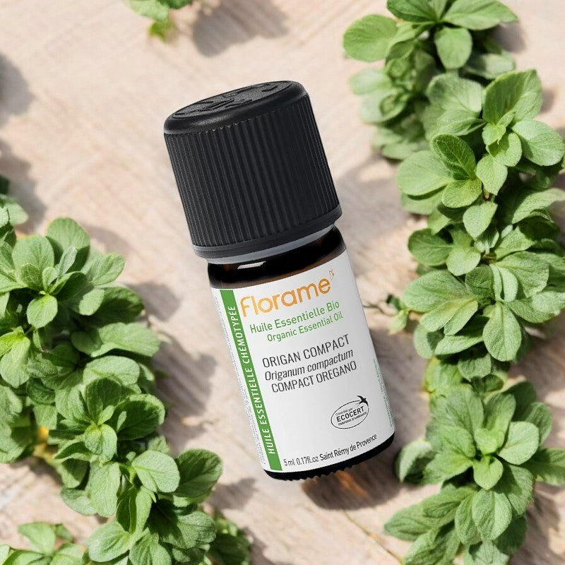 Huile essentielle d'Origan compact BIO - 5ml - Florame