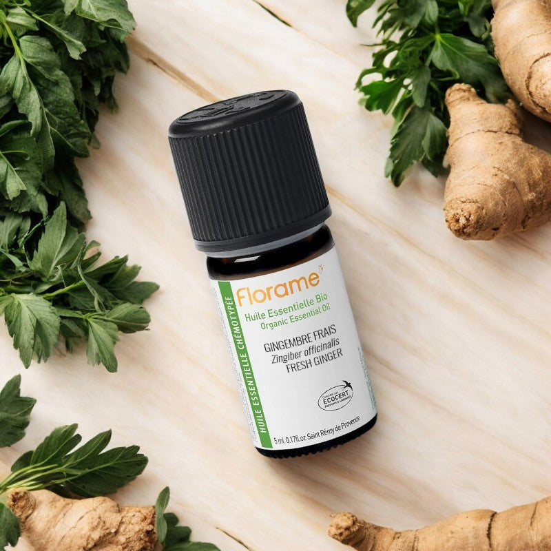 Huile essentielle de gingembre frais bio 5 ml florame 3