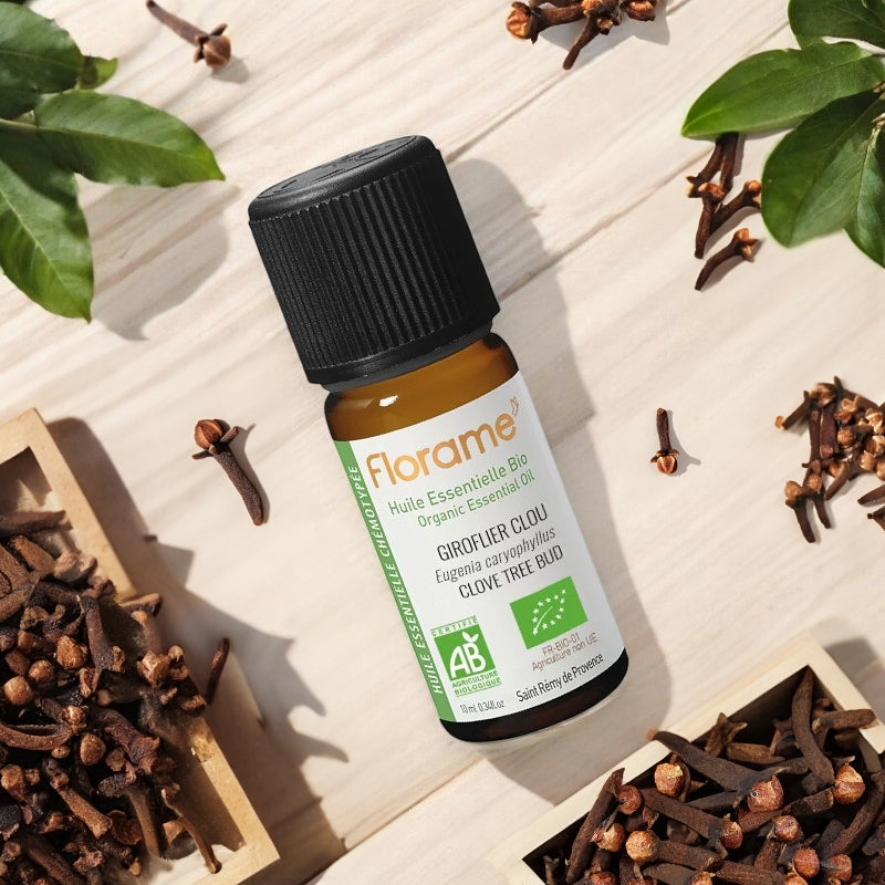 Huile essentielle de Girofle (clou) BIO - 10ml - Florame