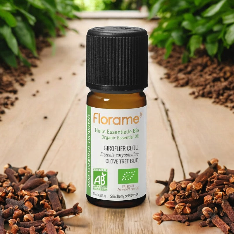 Huile essentielle de Girofle (clou) BIO - 10ml - Florame