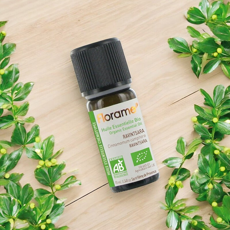 Huile essentielle de Ravintsara BIO - 10ml - Florame