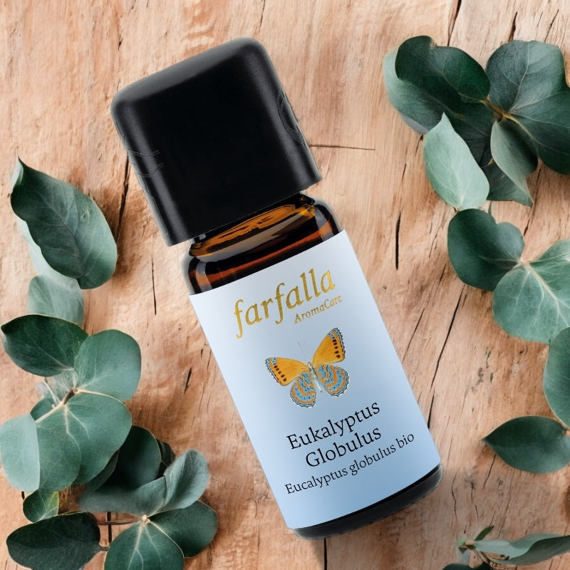 Ätherisches Bio-Eukalyptusöl (Eucalyptus globulus) – 10 ml – Farfalla