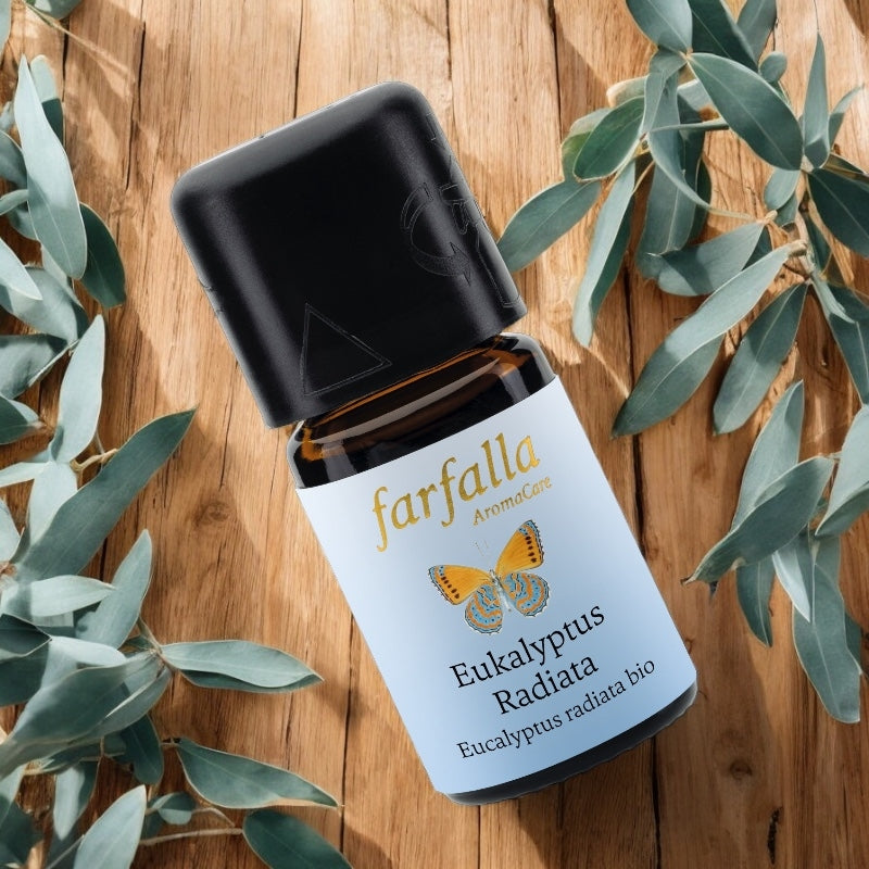 Huile essentielle eucalyptus radiata bio 5 ml farfalla 27610 3