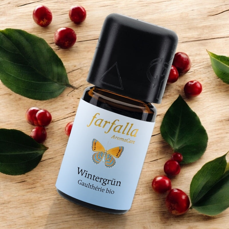 Huile essentielle Gaulthérie odorante BIO - 5ml - Farfalla