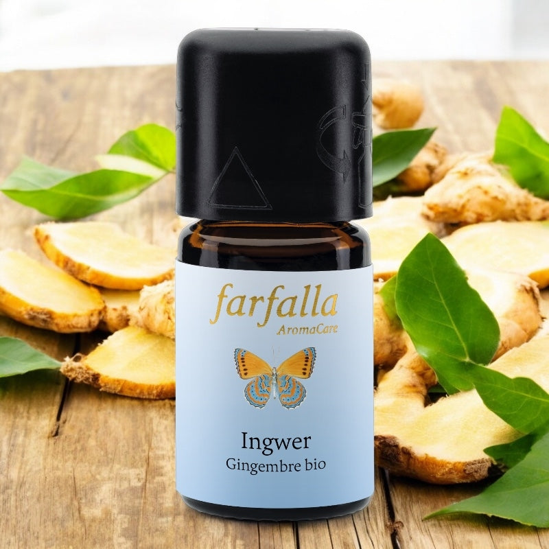 Ätherisches Bio-Ingweröl – 5 ml – Farfalla