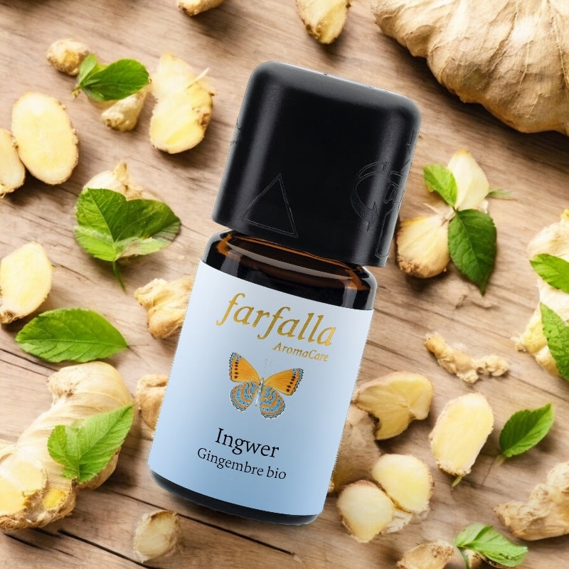 Ätherisches Bio-Ingweröl – 5 ml – Farfalla