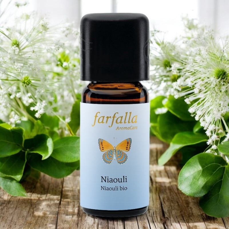 Ätherisches Bio-Niaouli-Öl – 10 ml – Farfalla