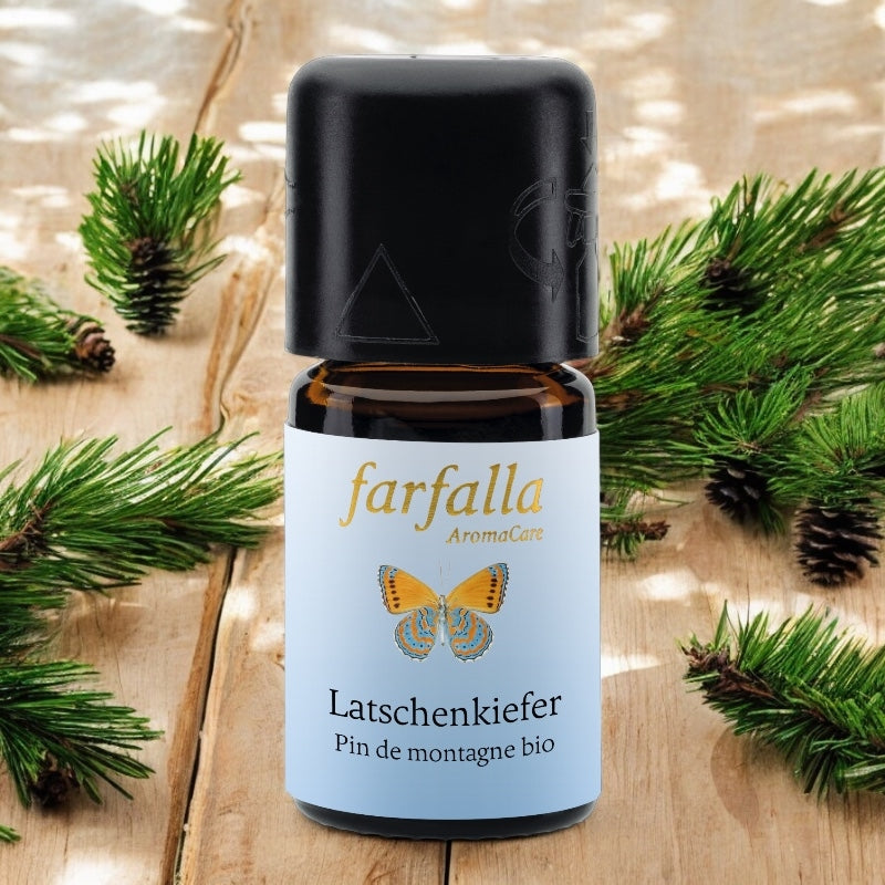 Ätherisches Bio-Bergkiefernöl – 5 ml – Farfalla