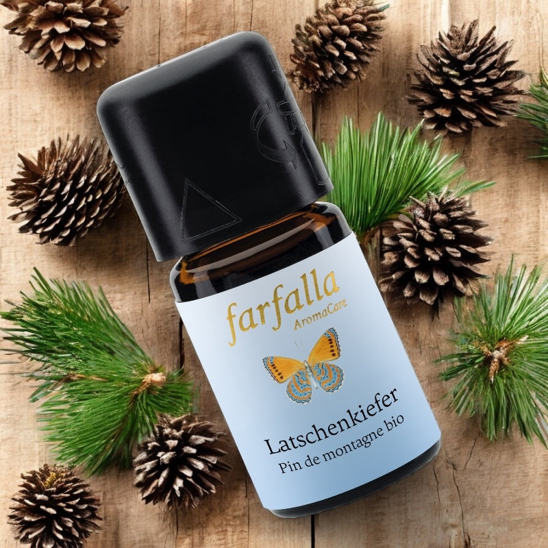 Ätherisches Bio-Bergkiefernöl – 5 ml – Farfalla