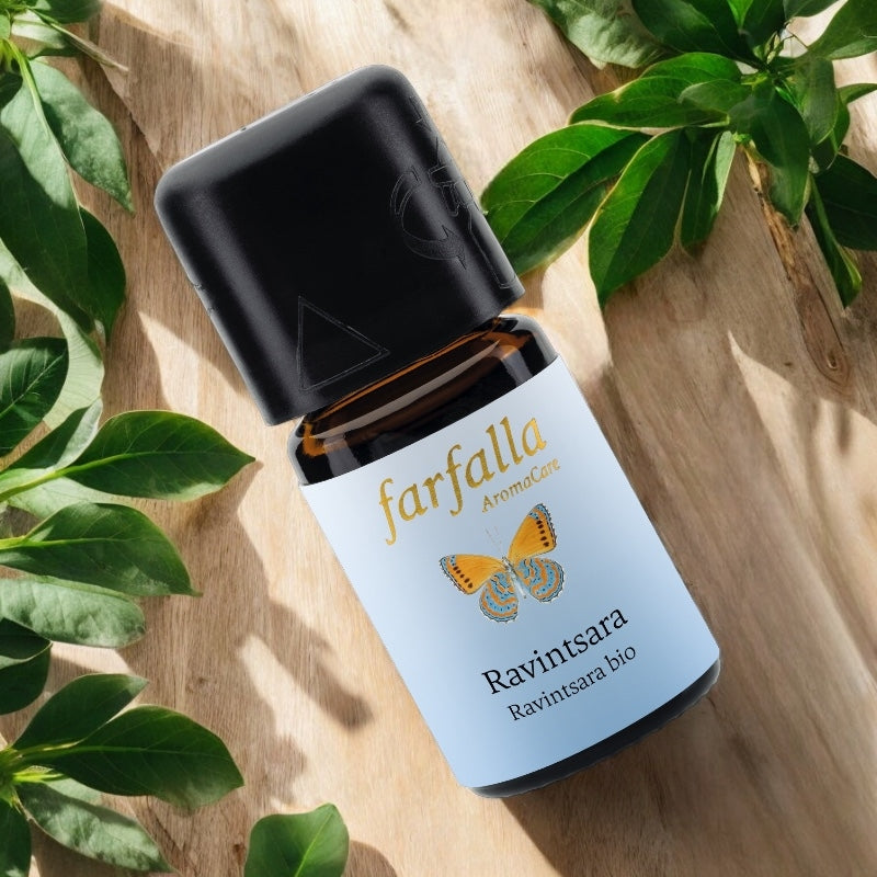 Ätherisches Bio-Ravintsara-Öl – 5 ml – Farfalla