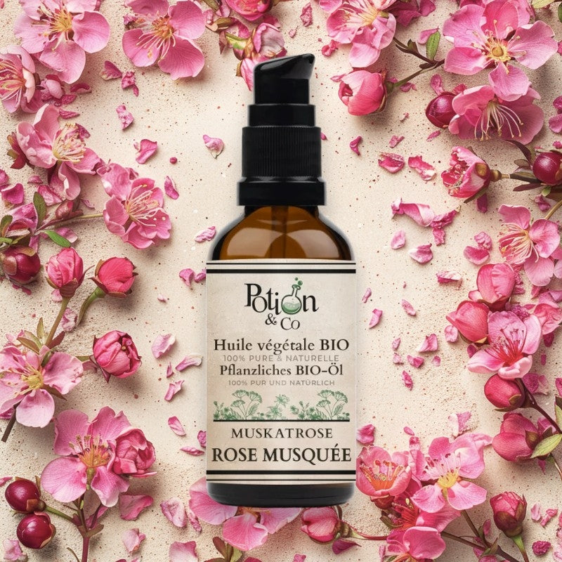 Bio-Hagebuttenöl – 50 ml – Potion &amp; Co