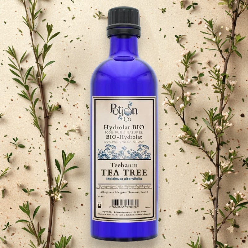 Hydrolat de tea tree BIO - 200ml - Potion & Co