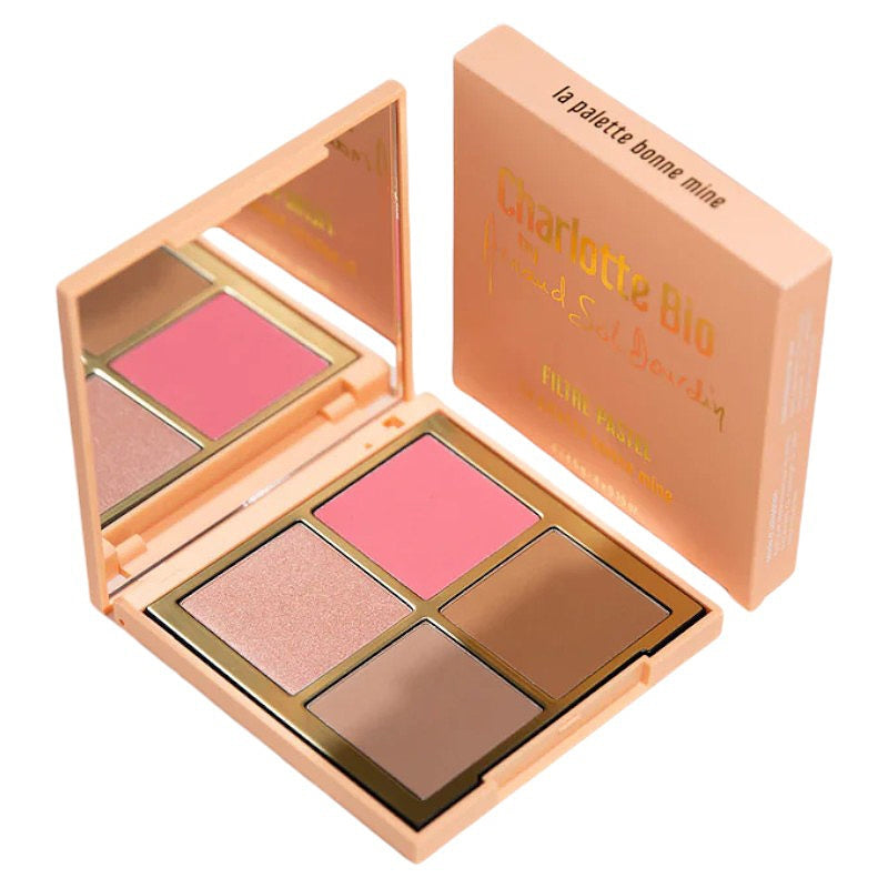 Palette bonne mine 4 x 45 g charlotte bio arnaud sol dourdin 4