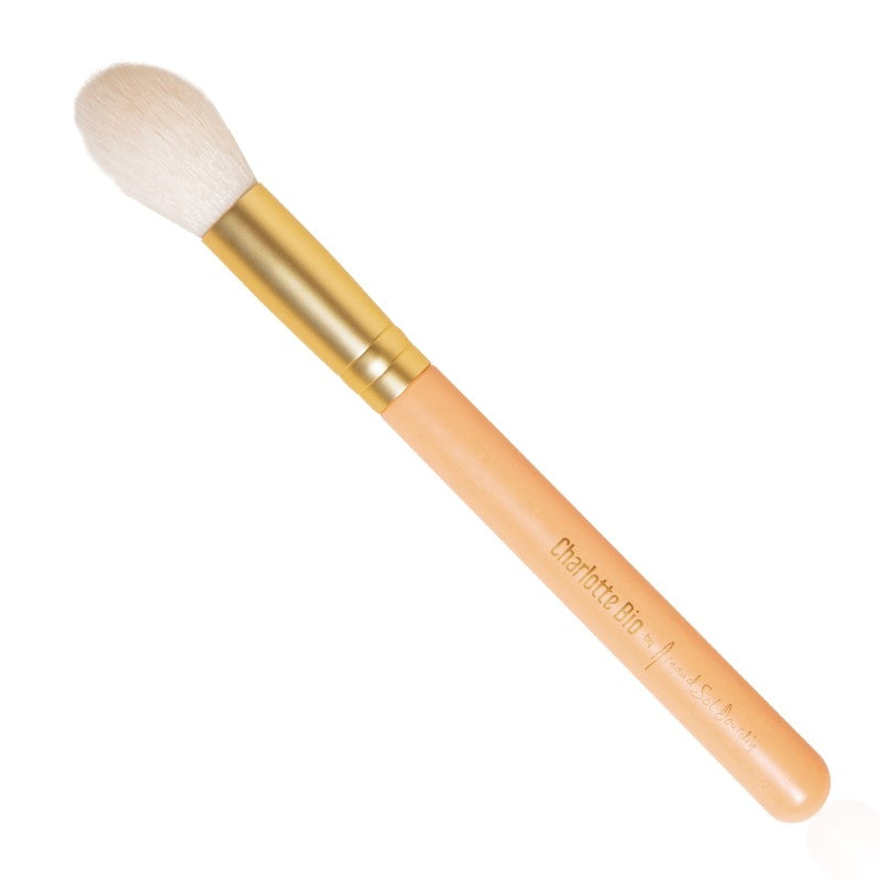 Healthy Glow Palette Pinsel - Charlotte Bio Arnaud Sol Dourdin