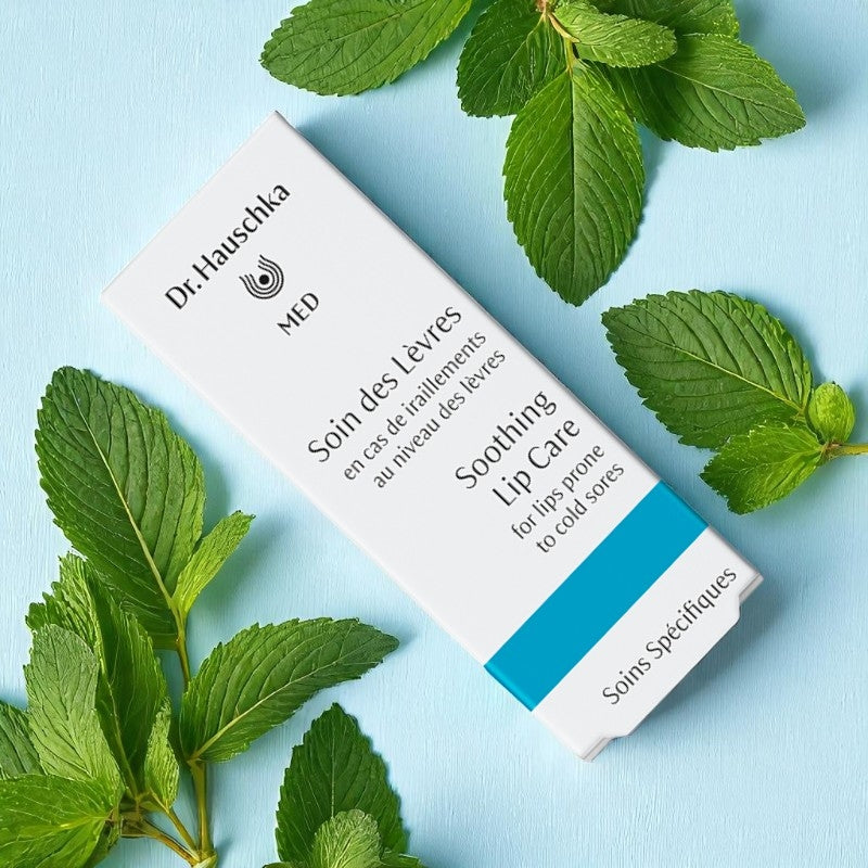 Soin des lèvres BIO menthe - 5ml - Dr. Hauschka MED
