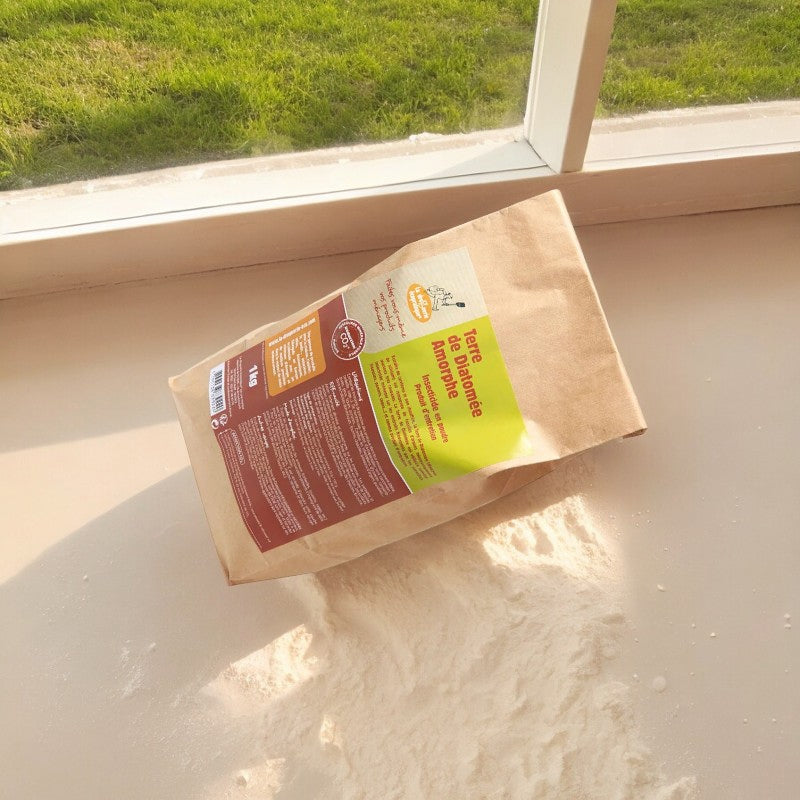 Kieselgur – 1 kg – Die umweltfreundliche Drogerie