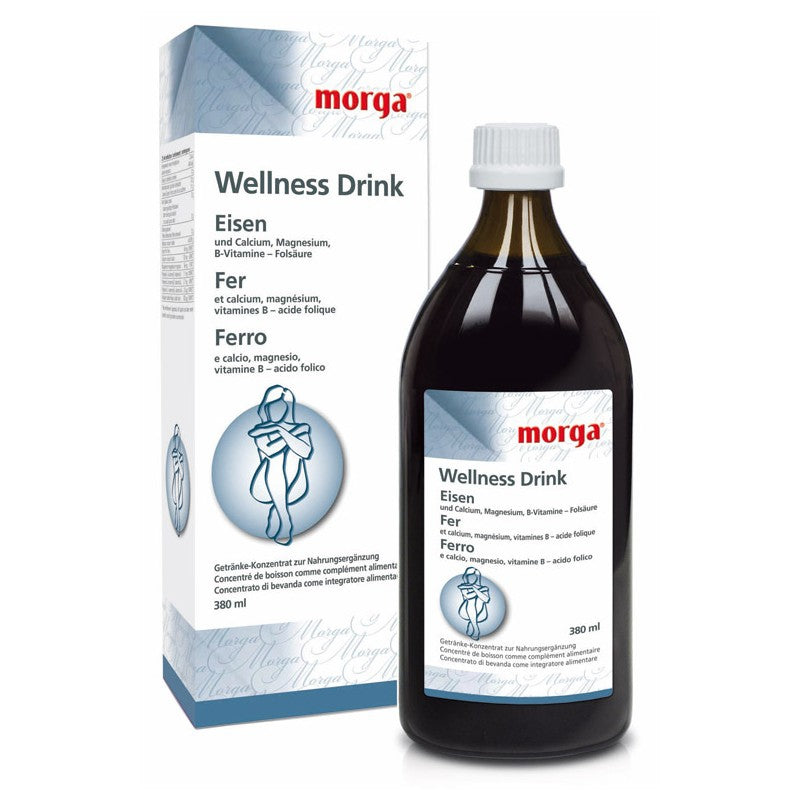 Wellness-Drink Eisen - 380 ml - Morga