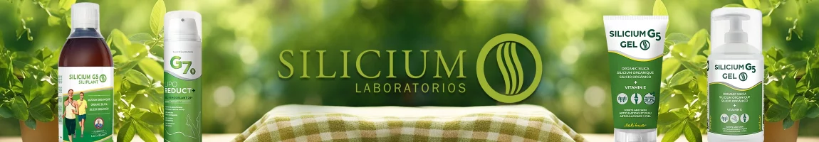 Silicium Laboratories