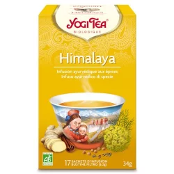 Infusion fenouil, gingembre & cannelle BIO - Himalaya - Yogi Tea