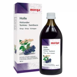 Holle Holunder-Sirup - 380ml - Morga