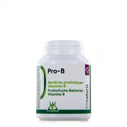 Pro-B 4,8 milliards de bactéries probiotiques + vitamine B 120 gélules - BIOnaturis