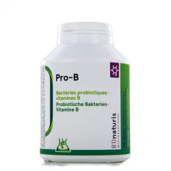 Pro-B 4,8 milliards de bactéries probiotiques + vitamine B 240 gélules - BIOnaturis