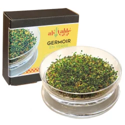 Germoir en verre - 1 pièce - ah table !