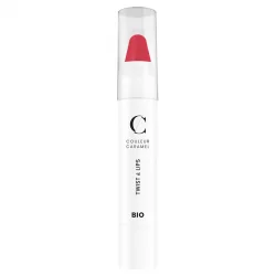 Twist & lips BIO N°411 Rose - 3g - Couleur Caramel