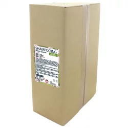 BIO-Anti-Schuppen-Shampoo Efeu - 10kg - Coslys