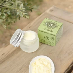 Baume à lèvres BIO huile d'olive & beurre de karité - 7ml - Marius Fabre