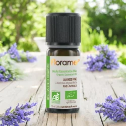 Ätherisches Öl Lavendel fein BIO - 10ml - Florame