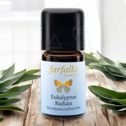 Ätherisches Öl Eucalyptus radiata BIO - 5ml - Farfalla