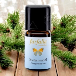 Ätherisches Öl Kiefernnadel BIO - 5ml - Farfalla