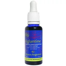 Fluide calmant BIO noisette & lavande - 30ml - Douces Angevines