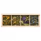 BIO-Entdeckungsbox Kräutertees - 4x20g - Jardin des Monts