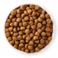 Croquettes poulet & céréales pour chien BIO - 5kg - Yarrah